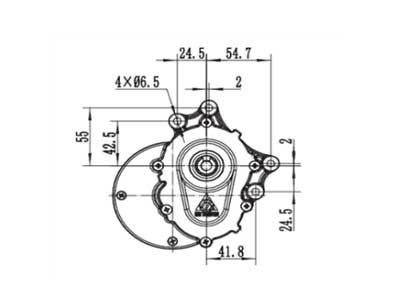 Moteur d'entraînement 250W (2800 RPM), moteur à balais PMDC ZD101AZ1