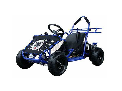 Moteurs et entraînements, pour voiturette de golf et chariot électrique